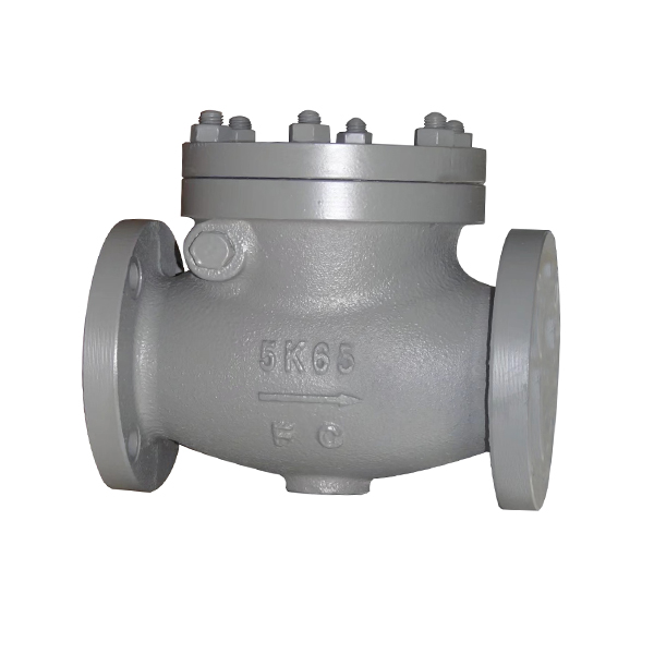 JIS F7359 65A Lift Check Valve